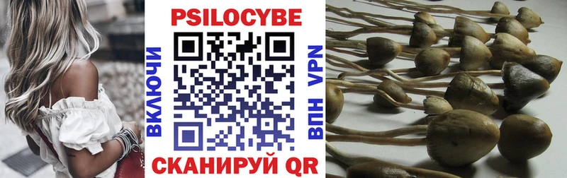 ссылка на мегу сайт  Ильский  Галлюциногенные грибы Cubensis  закладки 