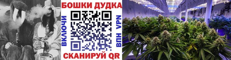 Шишки марихуана VHQ darknet телеграм Ильский